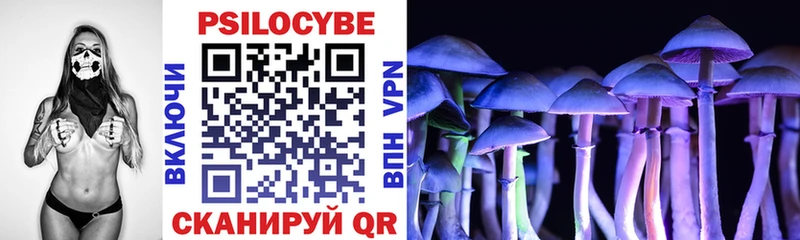 Галлюциногенные грибы мицелий  Купить закладки  Волжск 
